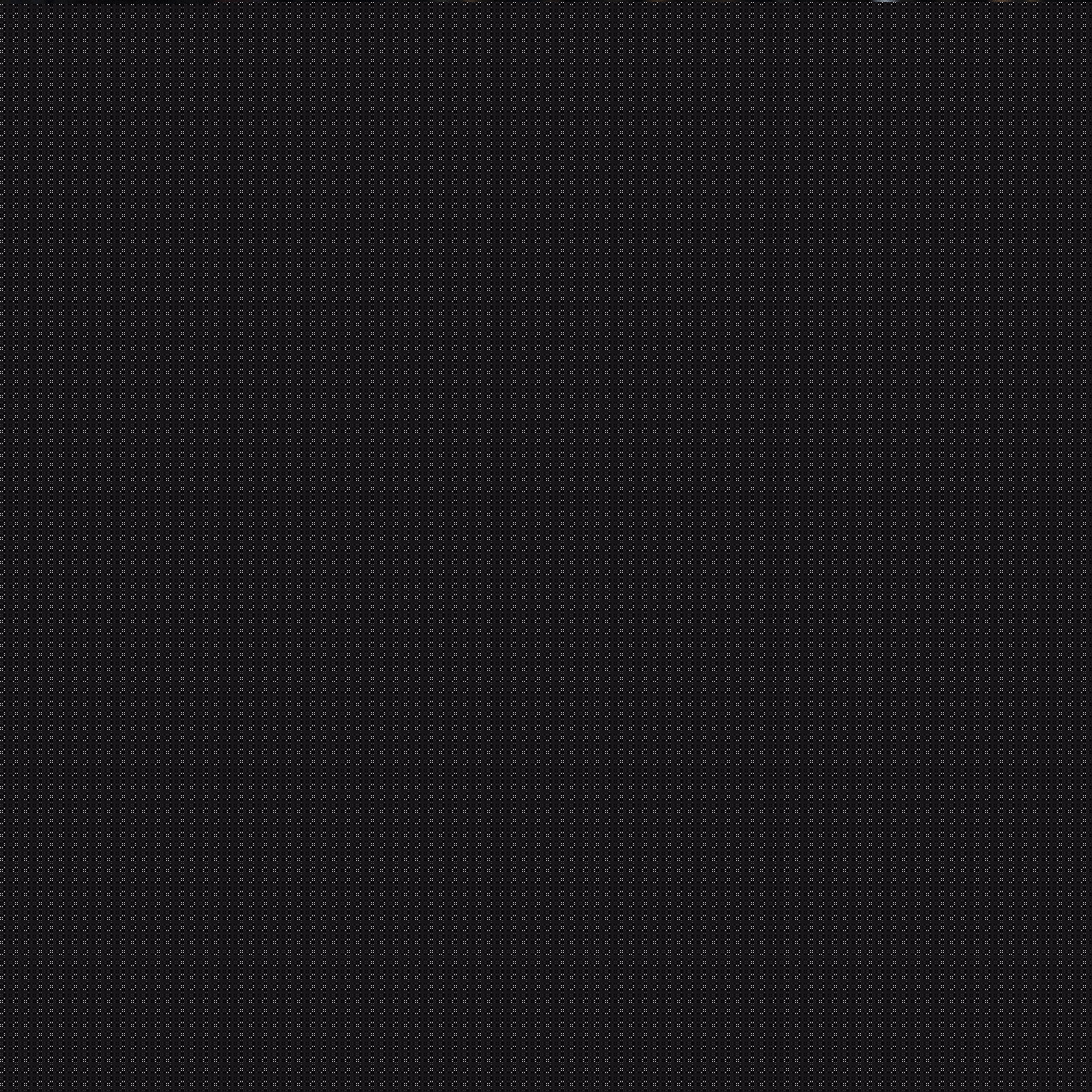 士不仅是一